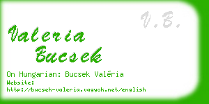 valeria bucsek business card