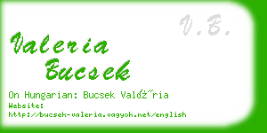 valeria bucsek business card